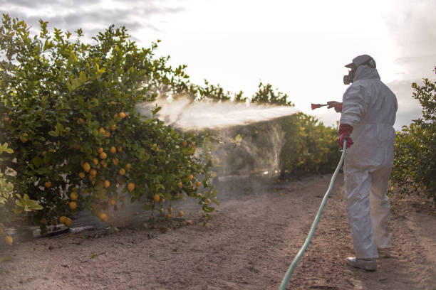 Best Residential Pest Control  in Williams, CA