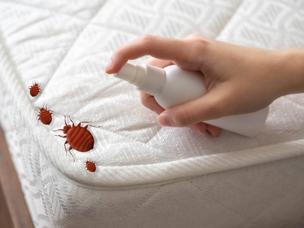 Best Exterminator Services  in Williams, CA