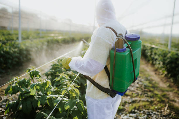Best Bed Bug Extermination  in Williams, CA